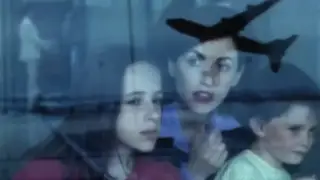 France - Le retour (1996)